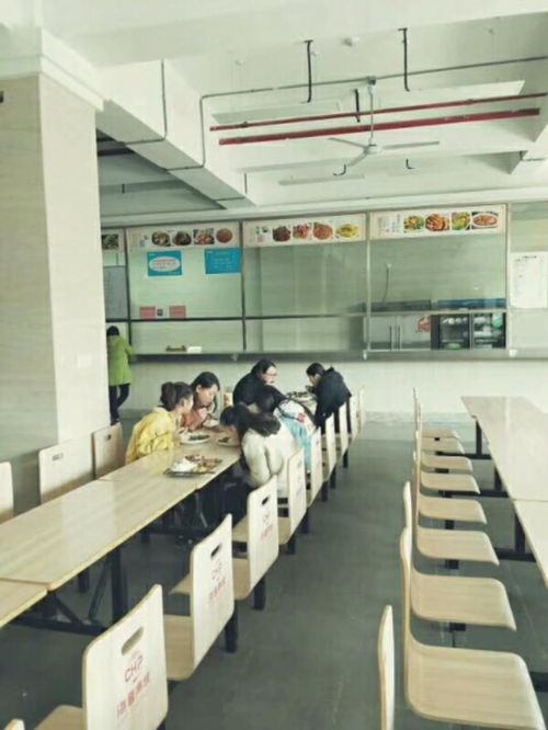 包食宿招移動客服 信息技術(shù)咨詢服務，打造專業(yè)團隊共促發(fā)展